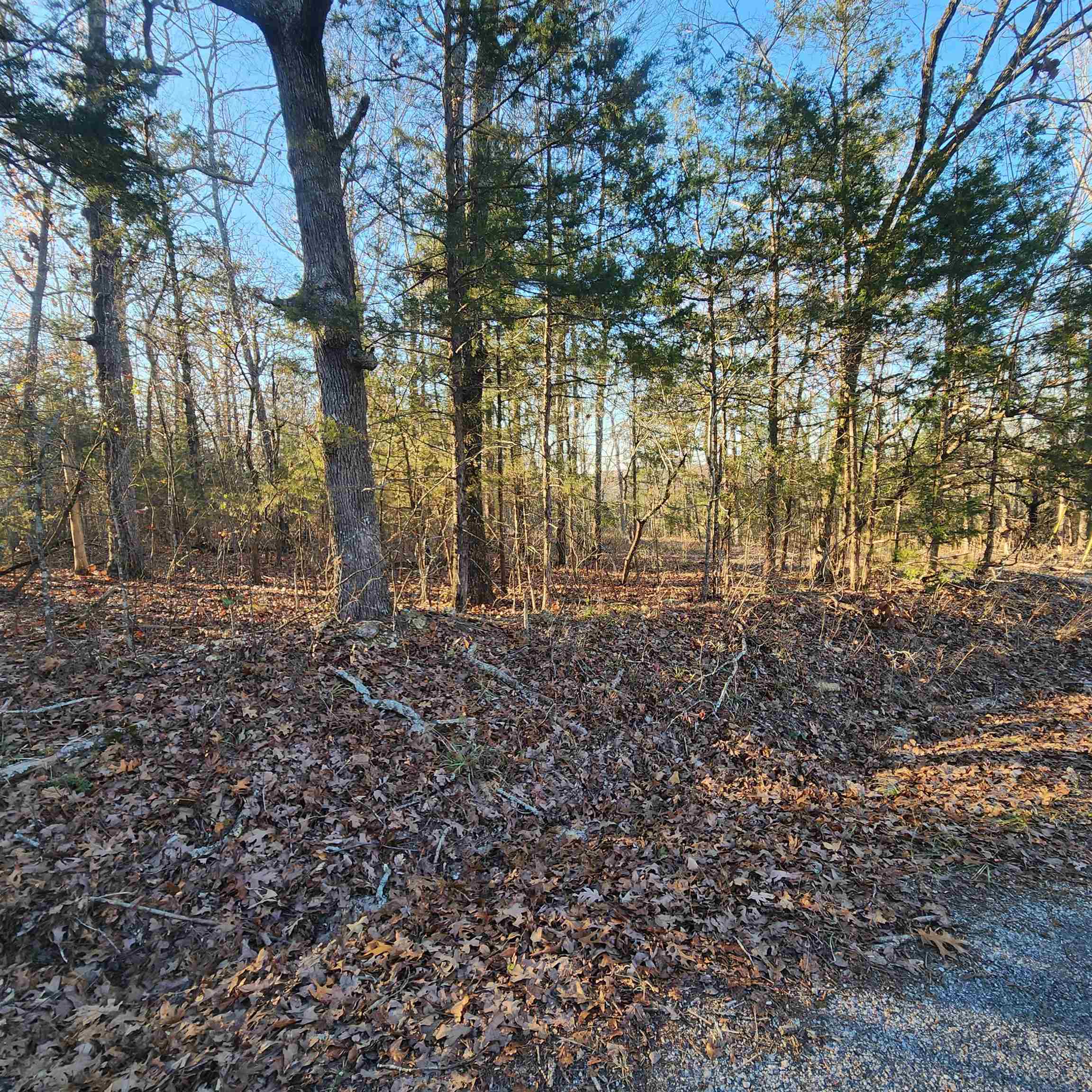 Photo 7 - Vacant Land for sale – 1505  Riverview   Horseshoe Bend, AR