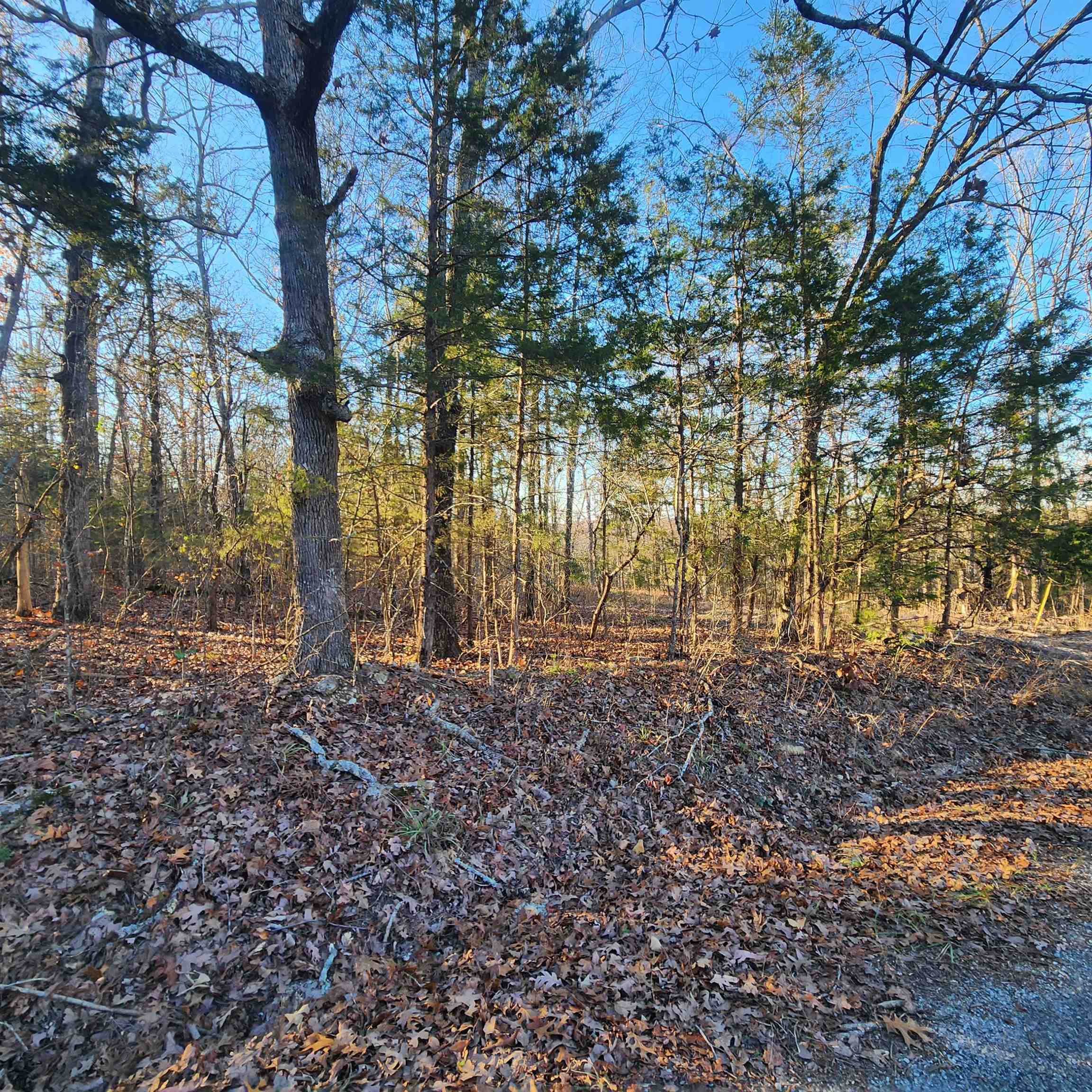Photo 8 - Vacant Land for sale – 1505  Riverview   Horseshoe Bend, AR