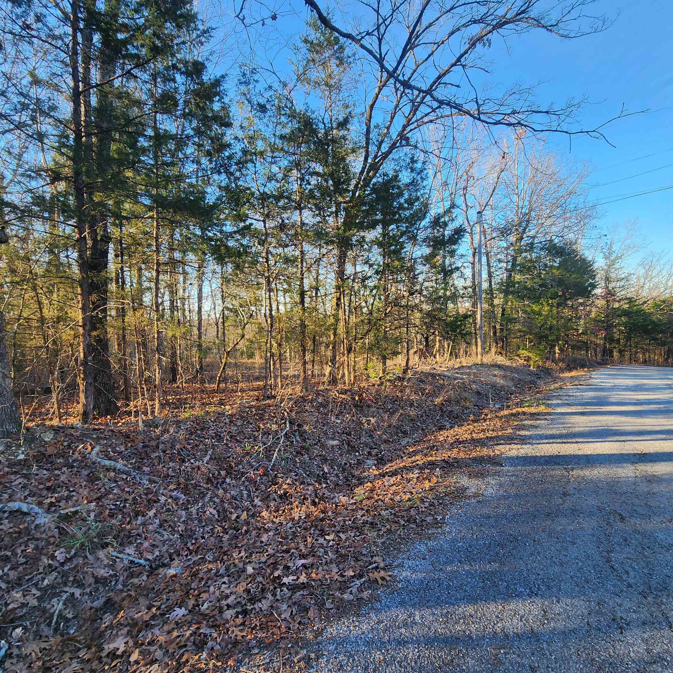 Photo 9 - Vacant Land for sale – 1505  Riverview   Horseshoe Bend, AR