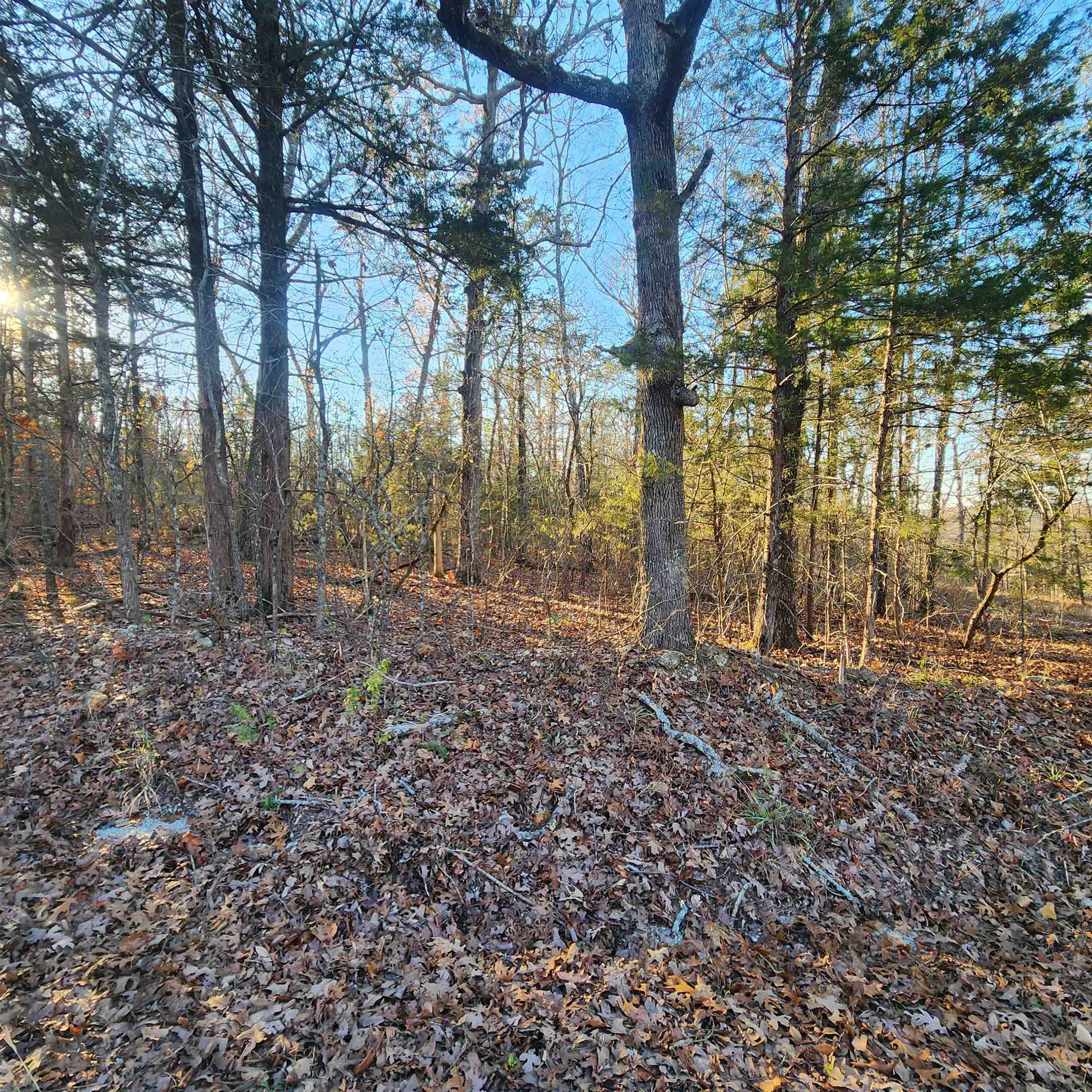 Photo 10 - Vacant Land for sale – 1505  Riverview   Horseshoe Bend, AR
