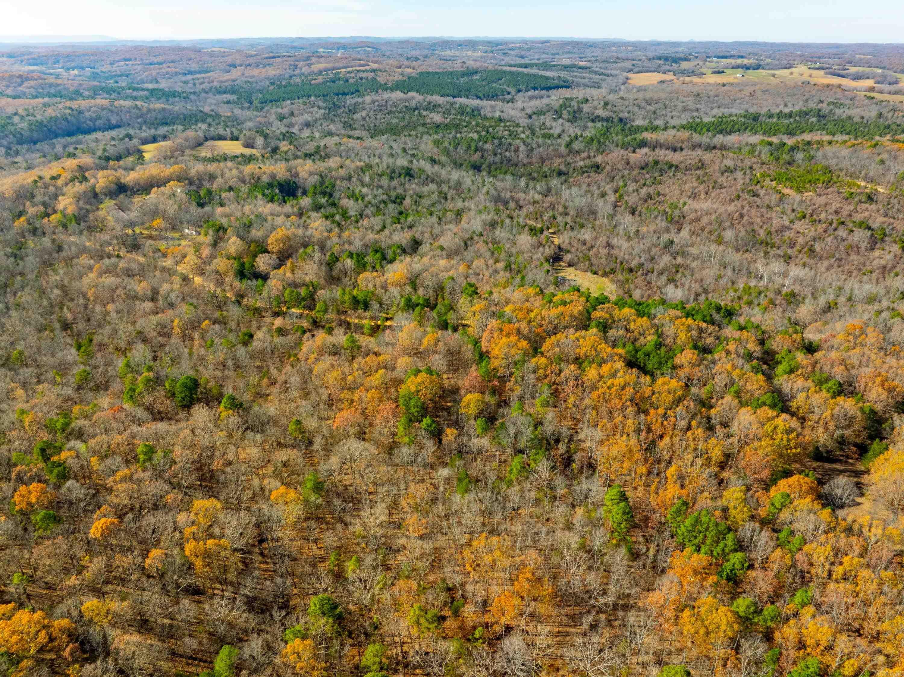 Photo 2 - Vacant Land for sale – 531  Peter Martin Hill Rd   Cave City, AR