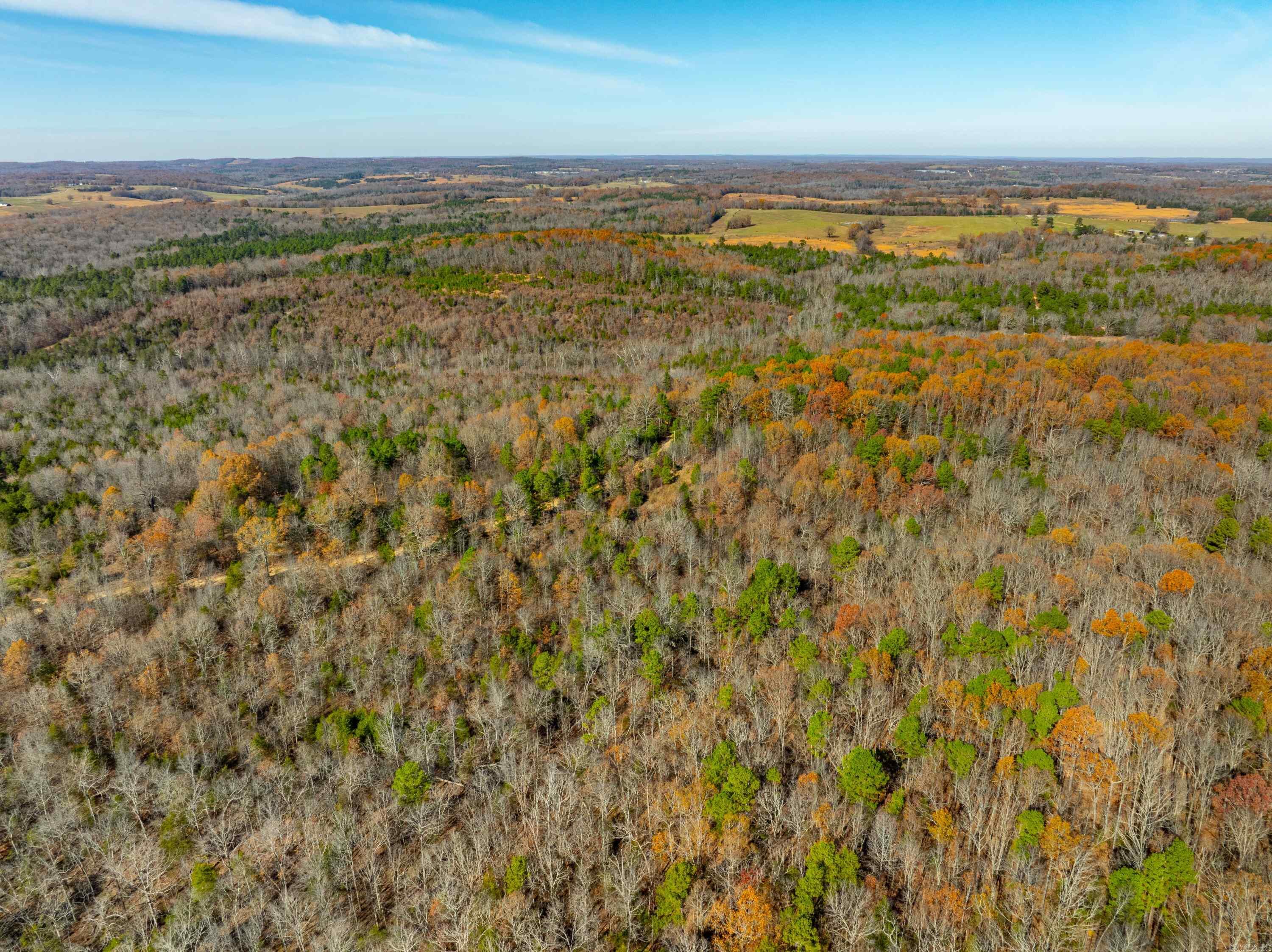 Photo 3 - Vacant Land for sale – 531  Peter Martin Hill Rd   Cave City, AR