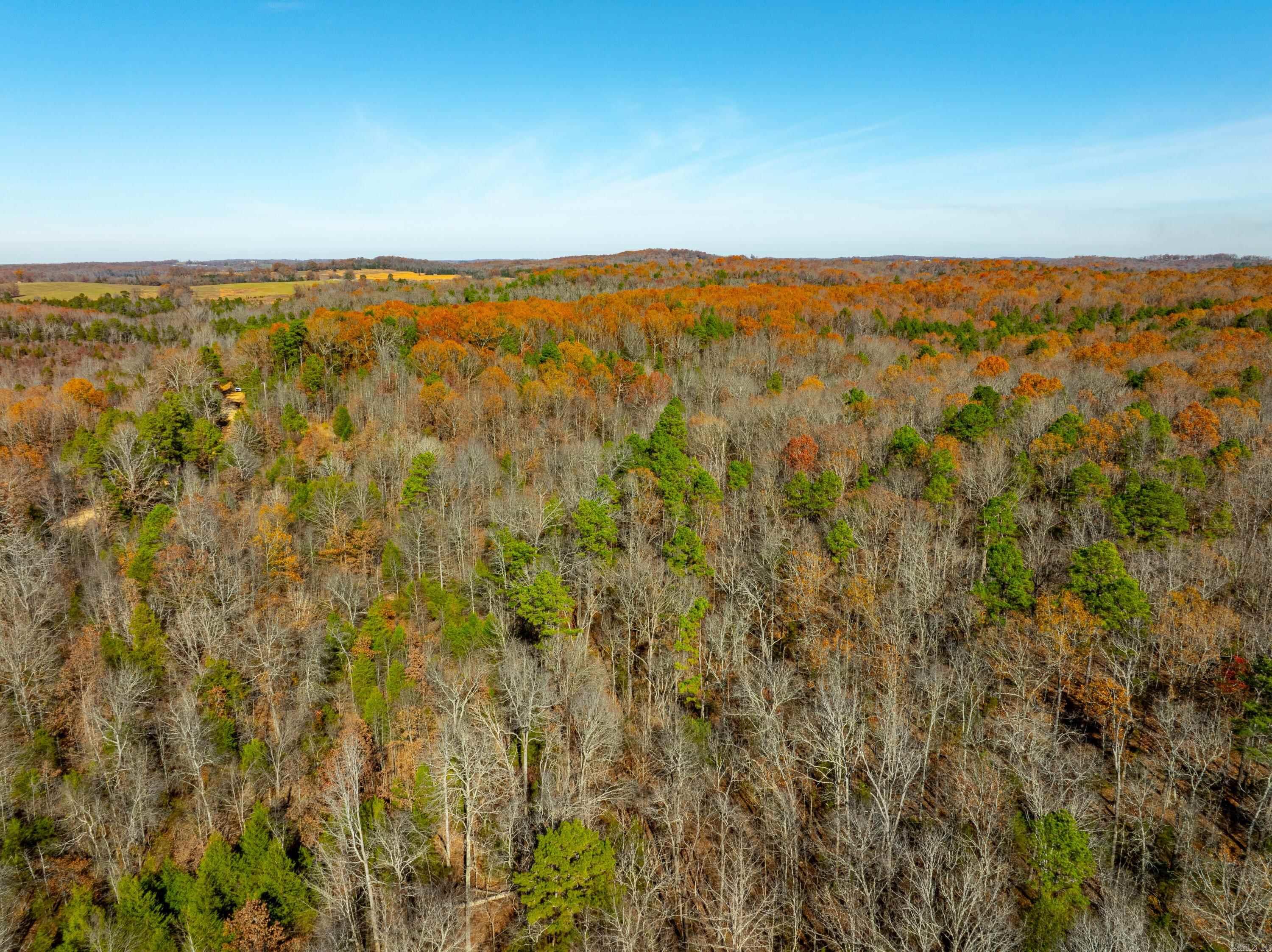 Photo 4 - Vacant Land for sale – 531  Peter Martin Hill Rd   Cave City, AR