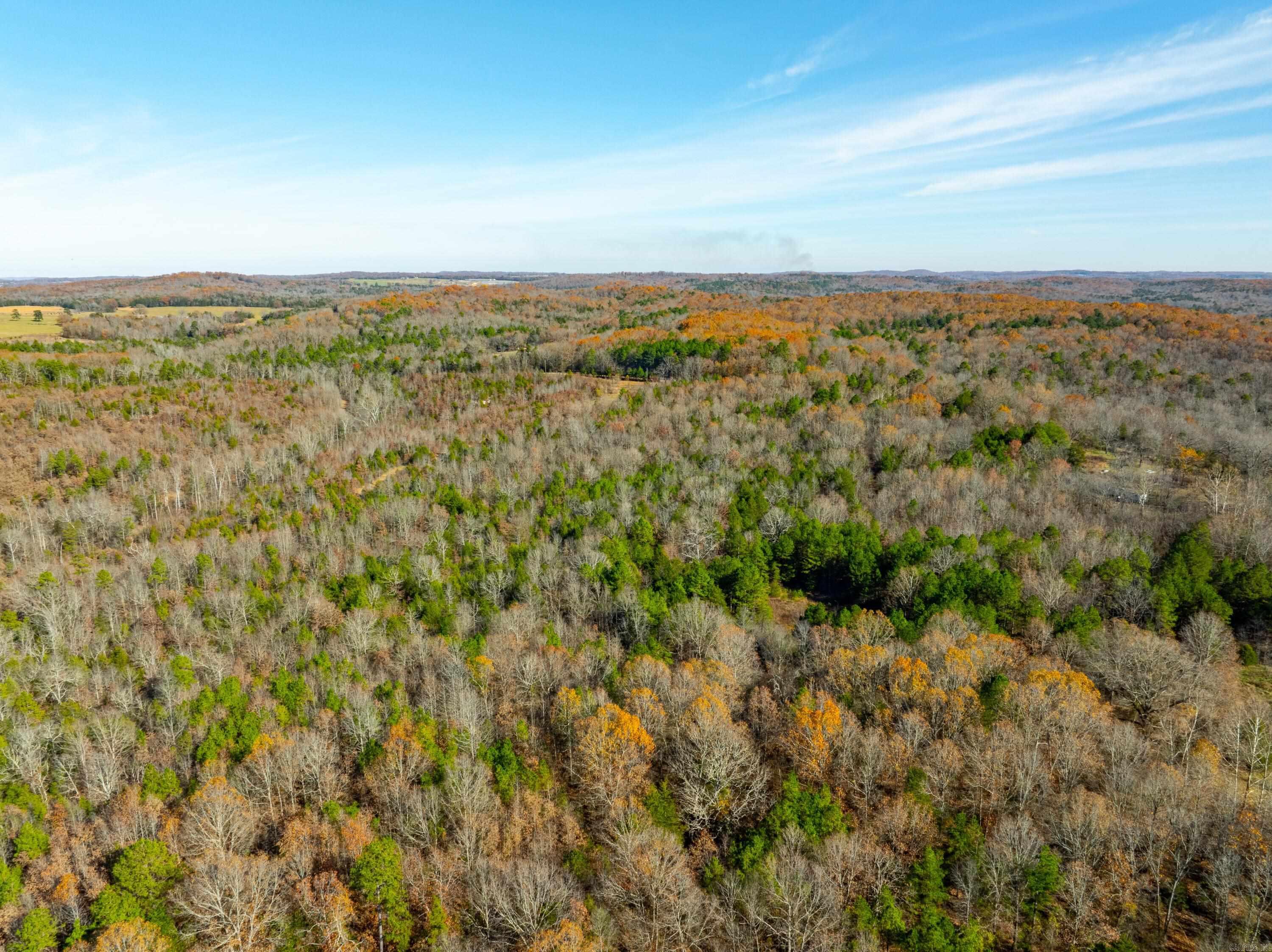 Photo 5 - Vacant Land for sale – 531  Peter Martin Hill Rd   Cave City, AR