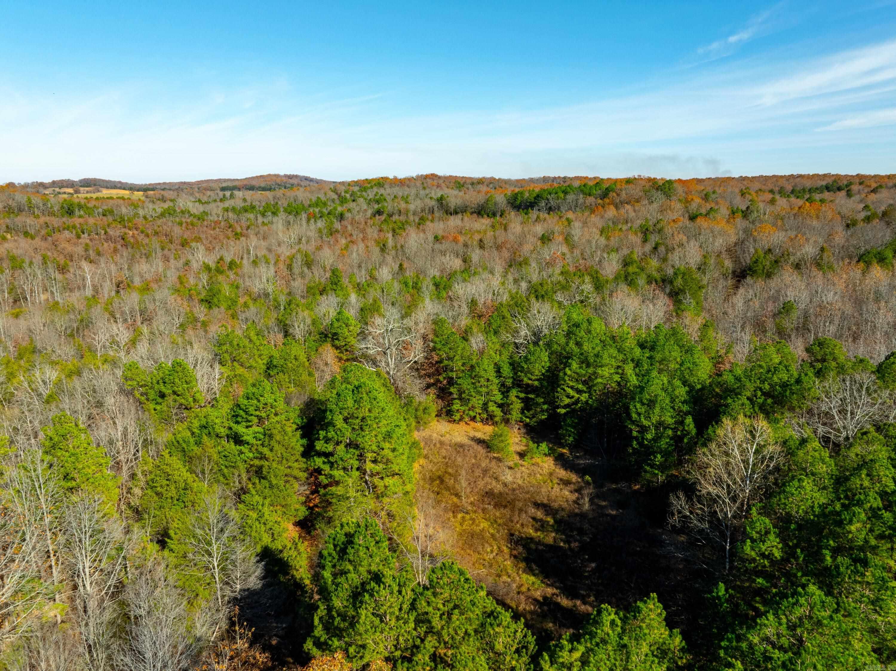 Photo 6 - Vacant Land for sale – 531  Peter Martin Hill Rd   Cave City, AR
