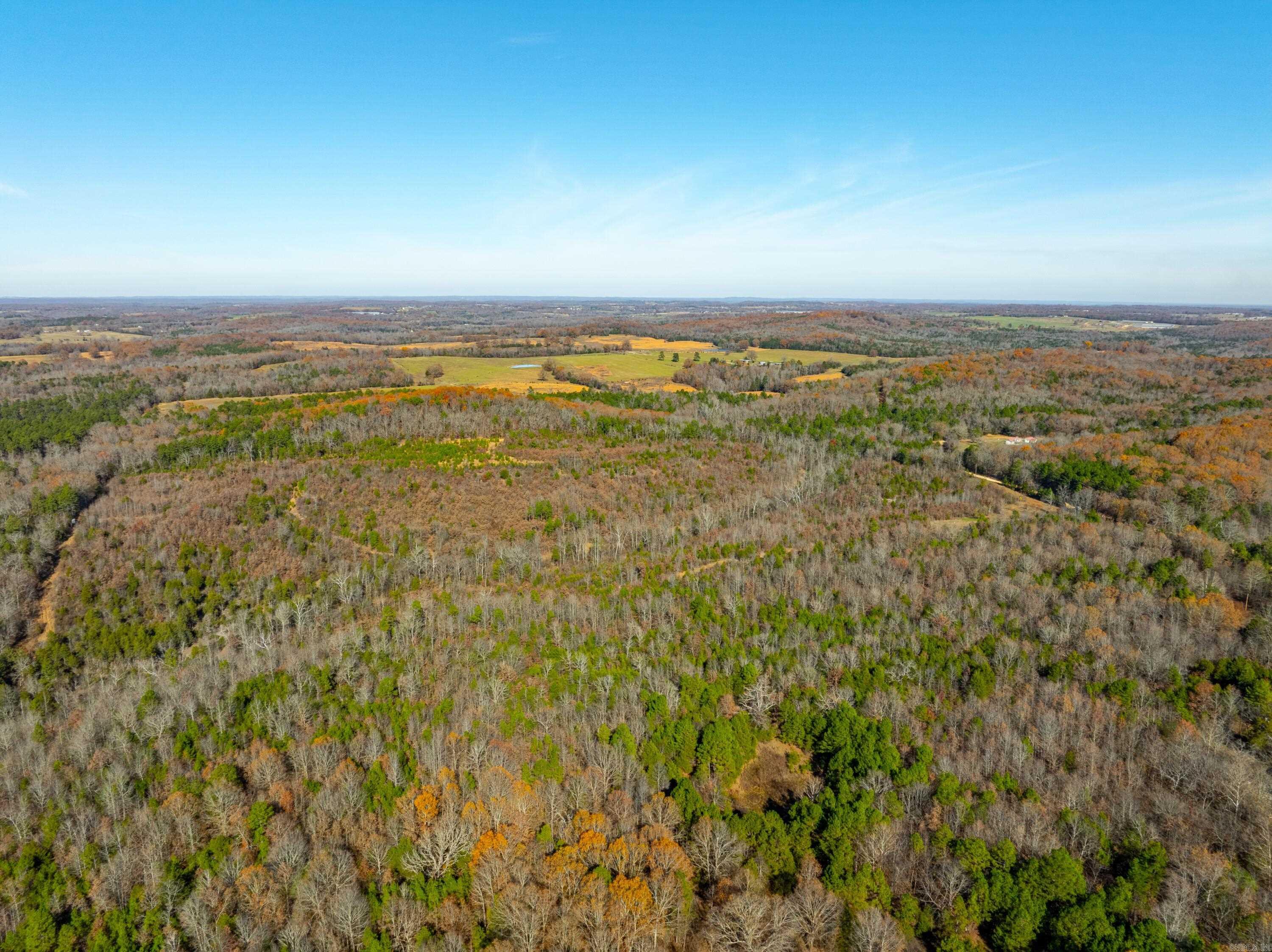 Photo 7 - Vacant Land for sale – 531  Peter Martin Hill Rd   Cave City, AR