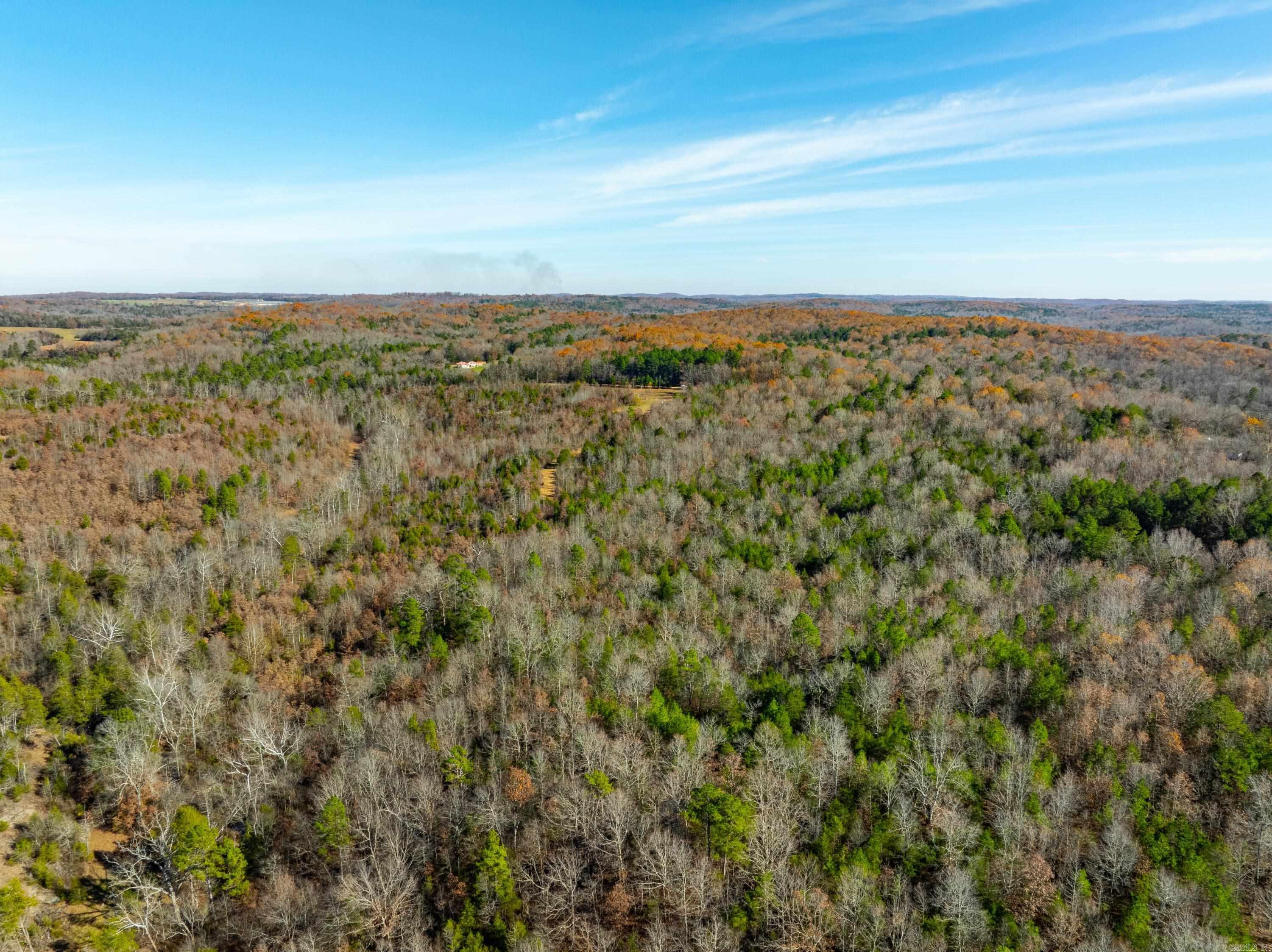 Photo 8 - Vacant Land for sale – 531  Peter Martin Hill Rd   Cave City, AR