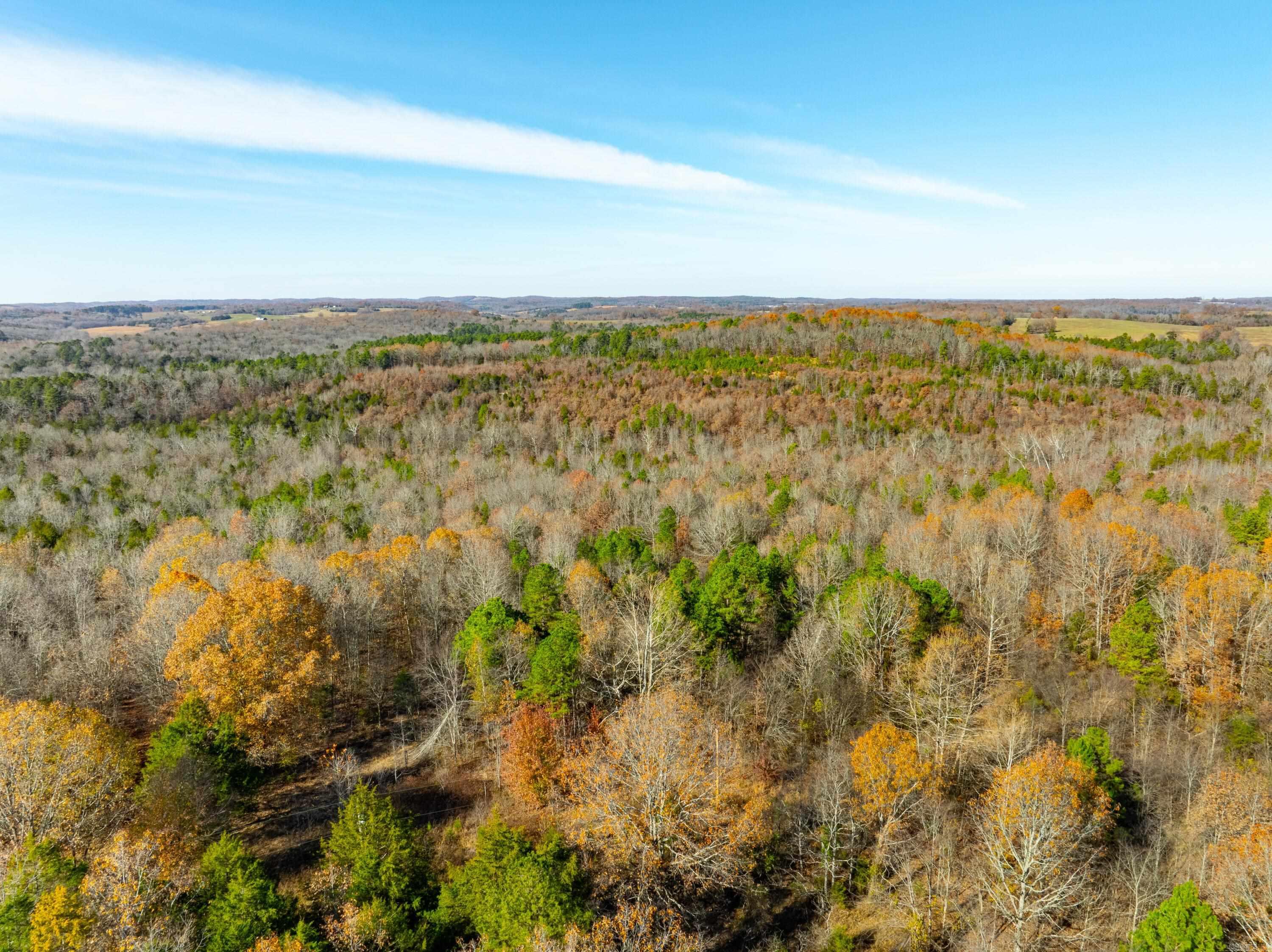 Photo 9 - Vacant Land for sale – 531  Peter Martin Hill Rd   Cave City, AR