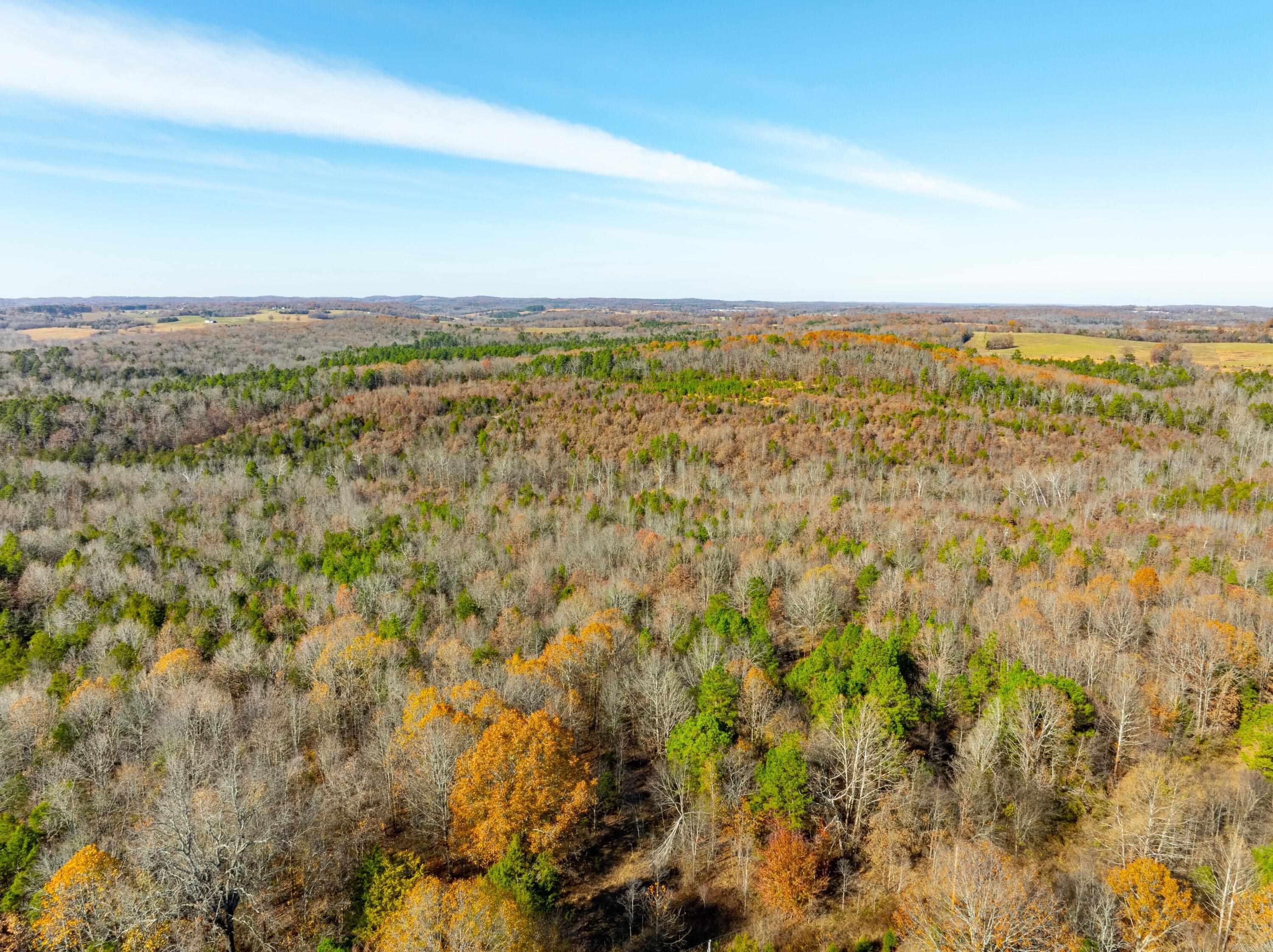 Photo 10 - Vacant Land for sale – 531  Peter Martin Hill Rd   Cave City, AR