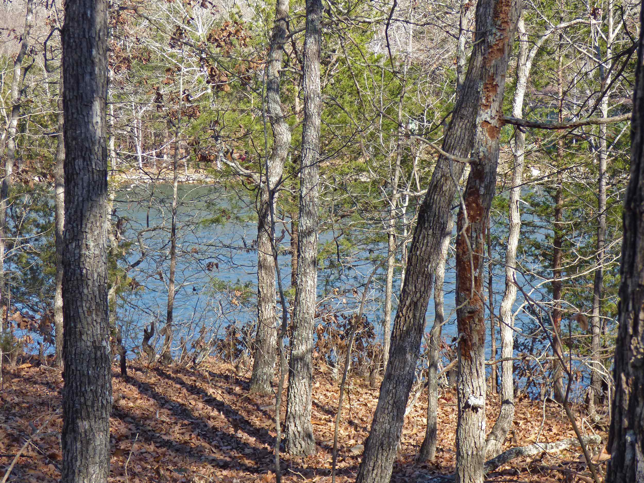 Photo 2 - Vacant Land for sale – 52  Isleta   Cherokee Village, AR