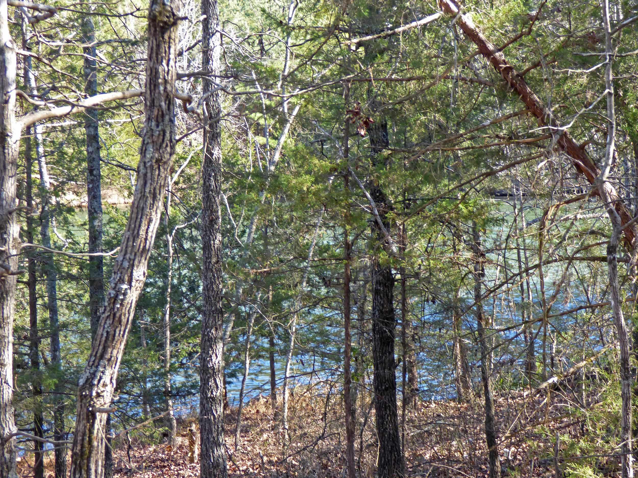Photo 3 - Vacant Land for sale – 52  Isleta   Cherokee Village, AR