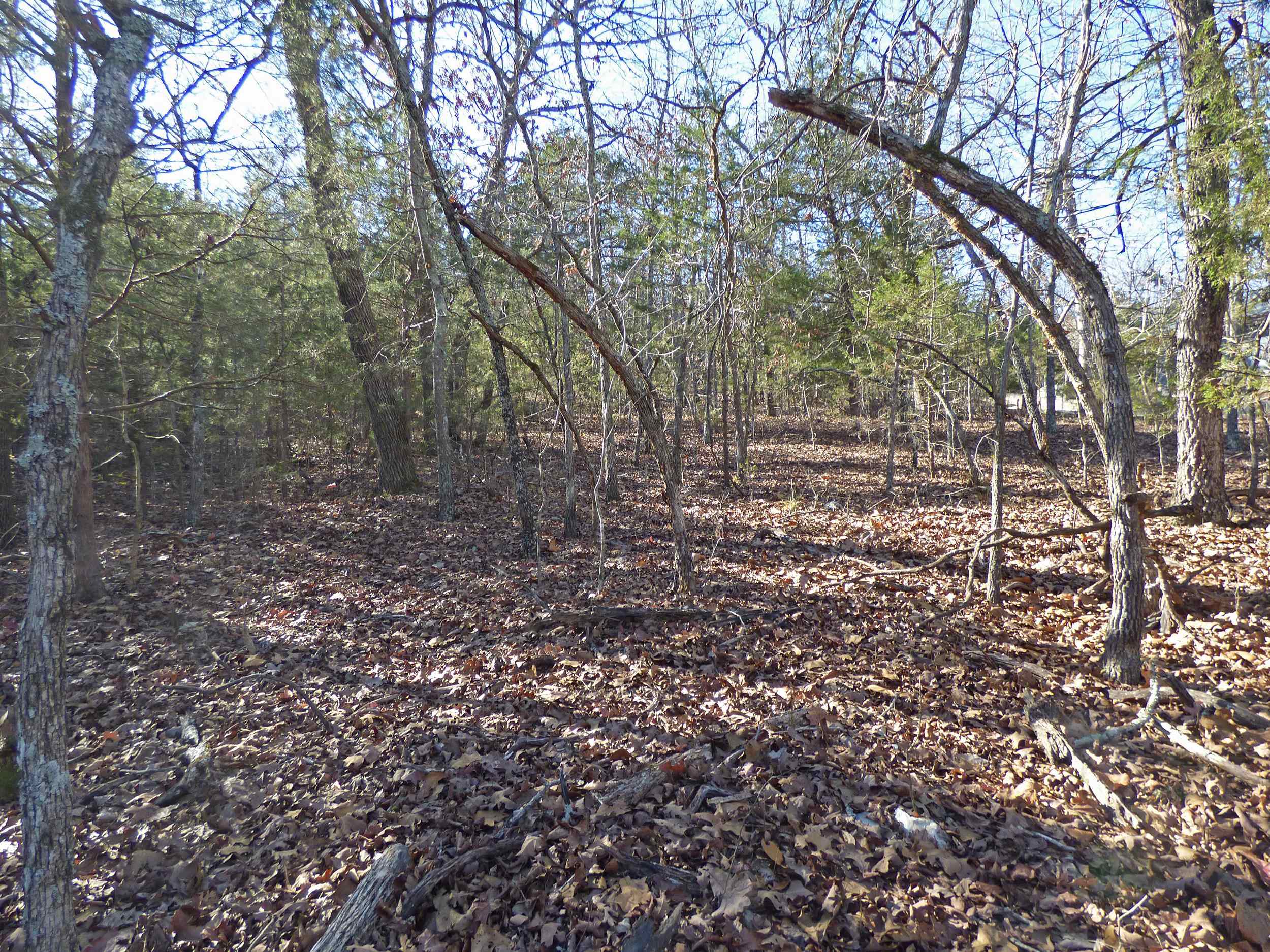 Photo 5 - Vacant Land for sale – 52  Isleta   Cherokee Village, AR
