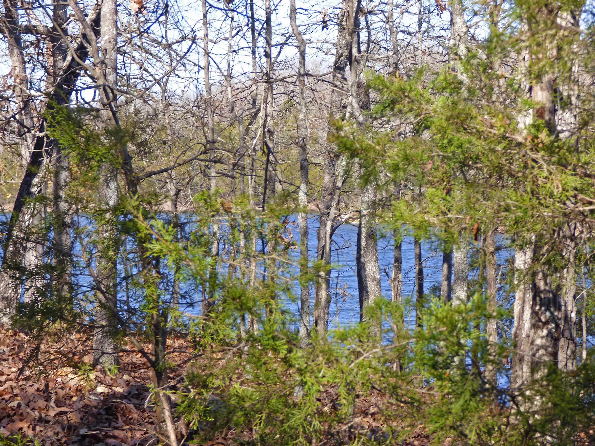 Photo 7 - Vacant Land for sale – 52  Isleta   Cherokee Village, AR