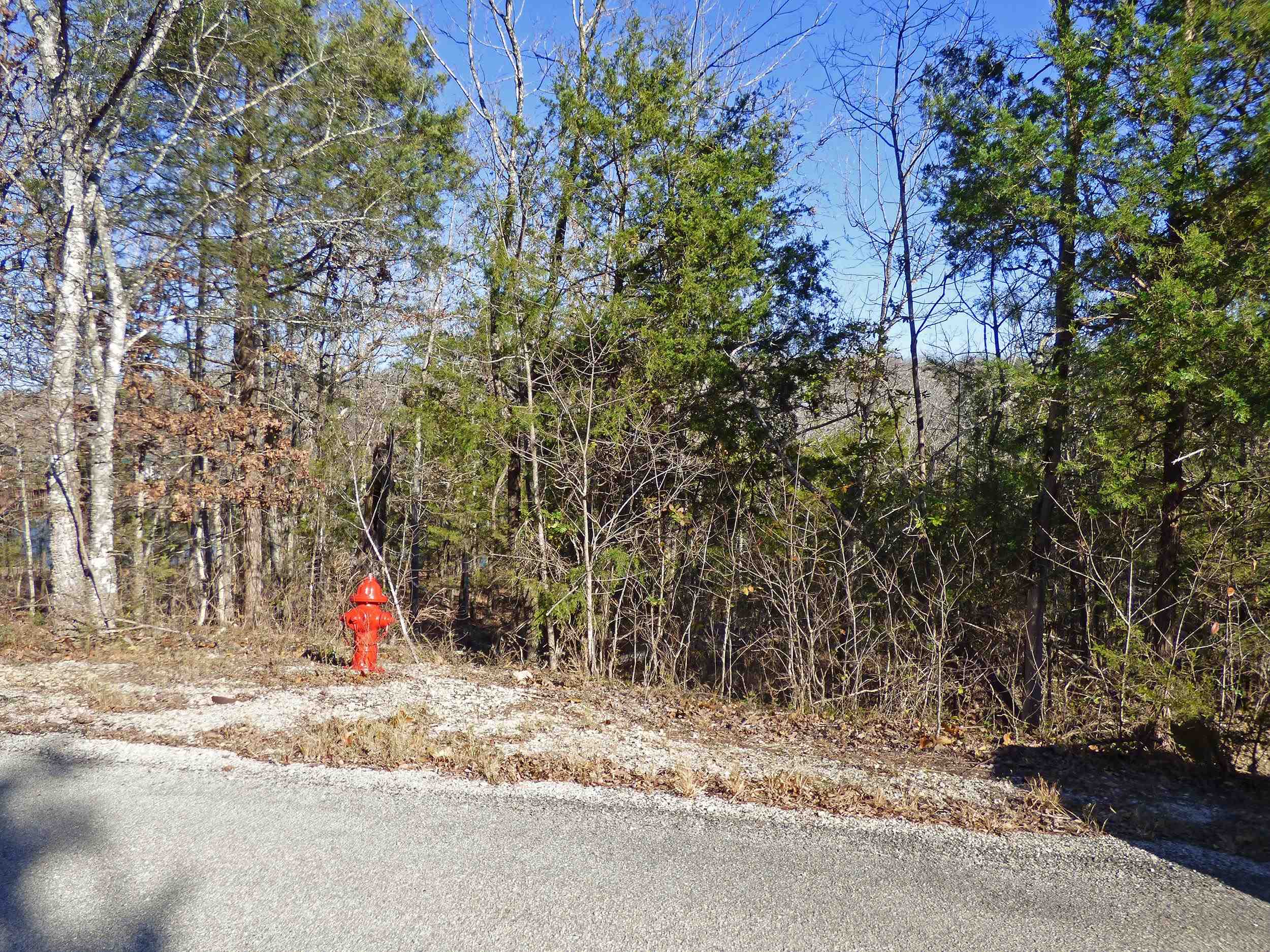 Photo 8 - Vacant Land for sale – 52  Isleta   Cherokee Village, AR