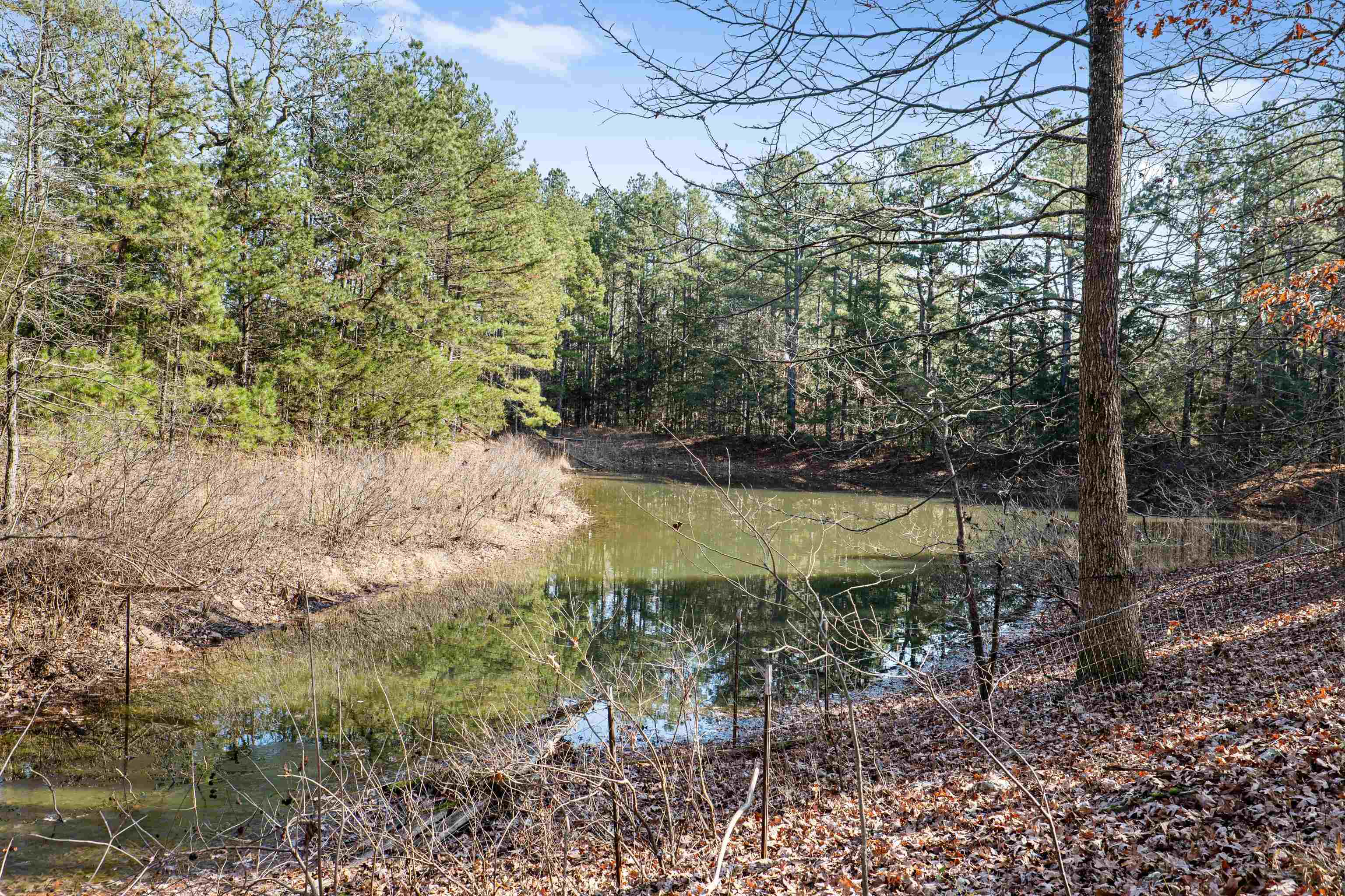 Photo 3 - Residential for sale – 300  Silver Springs   Evening Shade, AR