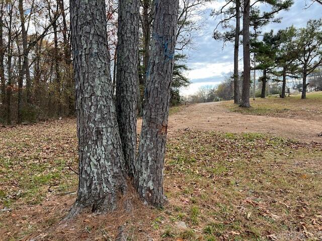 Photo 43 - Residential for sale – 2239 N Main   Mount Pleasant, AR