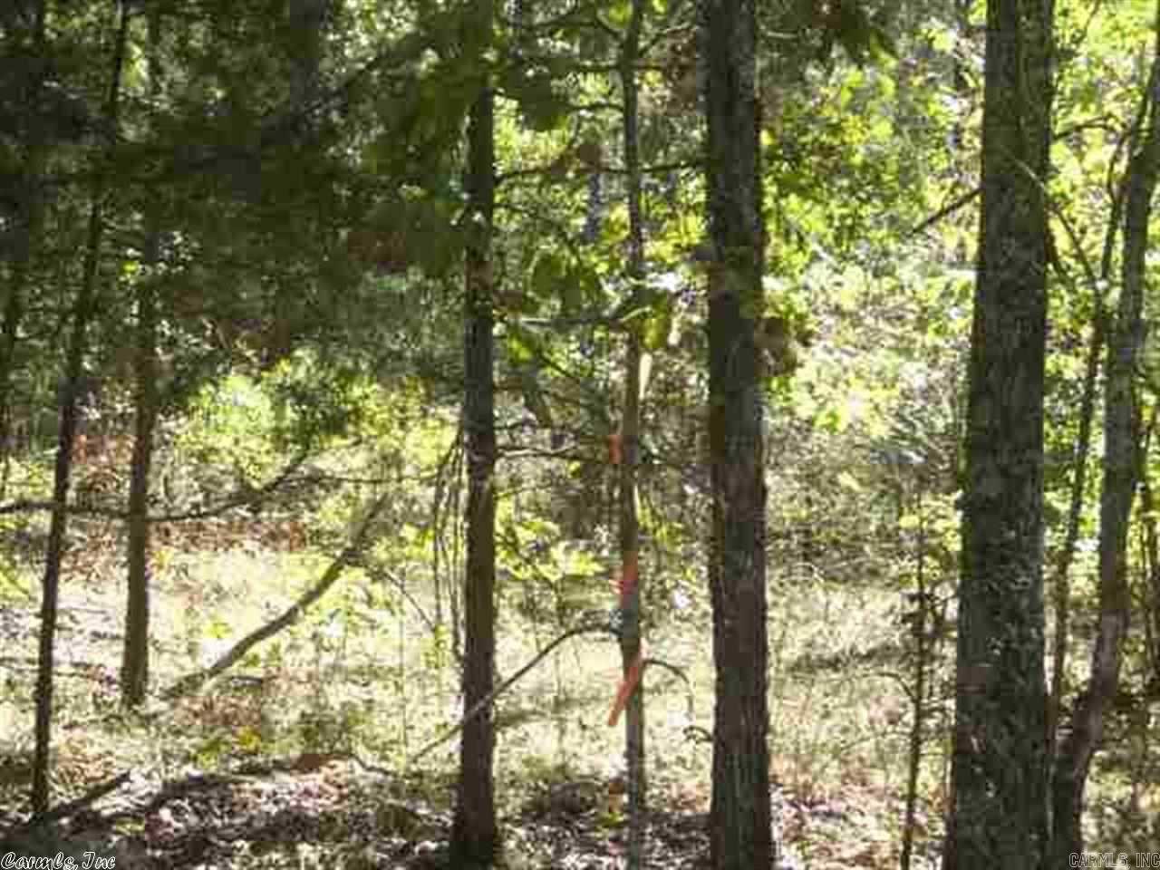 Vacant Land for sale – 00  Easy   Drasco, AR