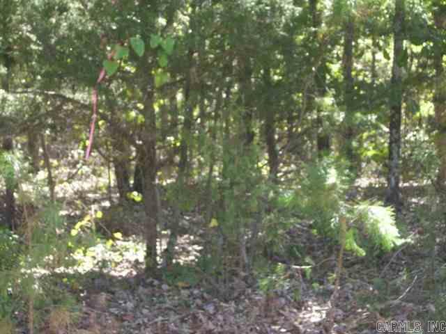 Photo 3 - Vacant Land for sale – 00  Easy   Drasco, AR