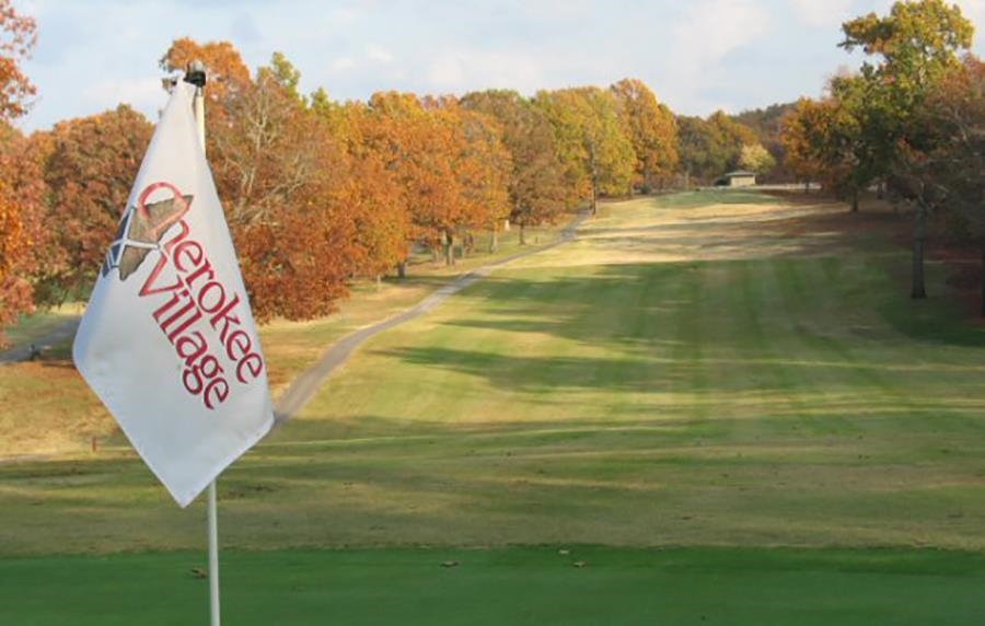 Vacant Land for sale –   Alamo   Cherokee Village, AR