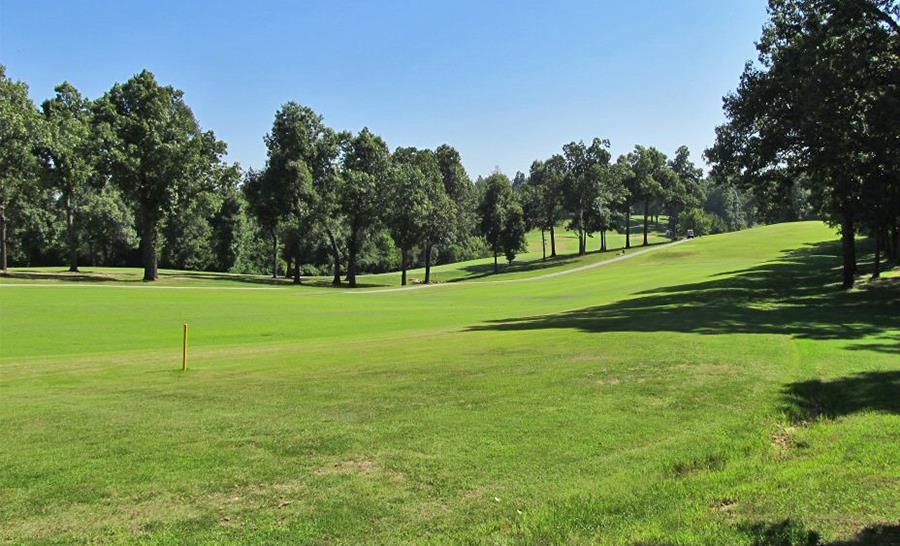 Photo 2 - Vacant Land for sale –   Alamo   Cherokee Village, AR