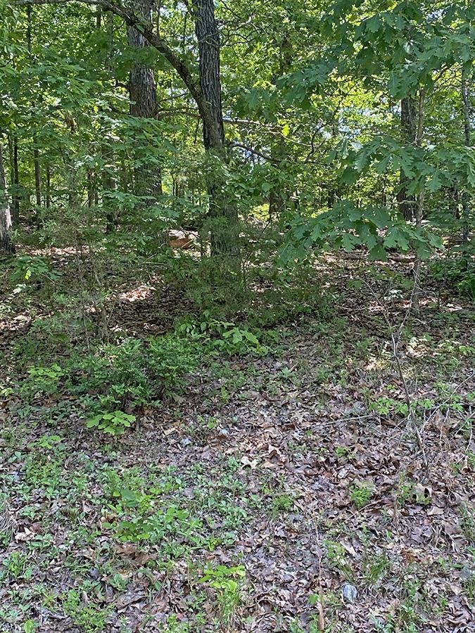 Photo 3 - Vacant Land for sale –   Alamo   Cherokee Village, AR