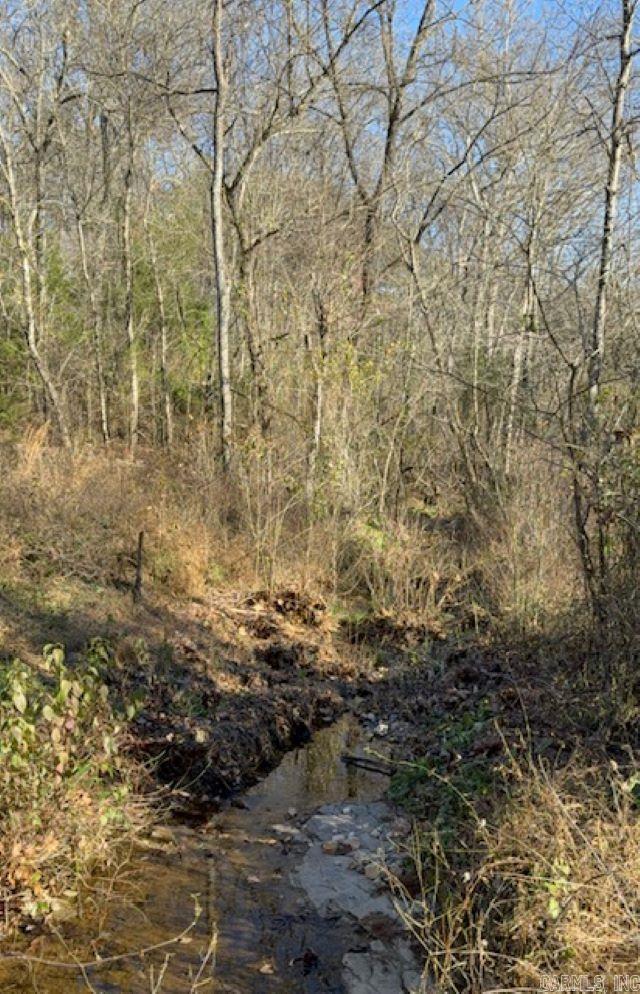 Photo 11 - Residential for sale – 552  Little Creek Lane   Pineville, AR