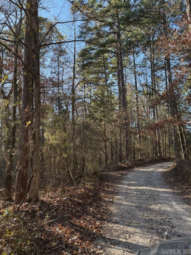 Photo 12 - Residential for sale – 552  Little Creek Lane   Pineville, AR