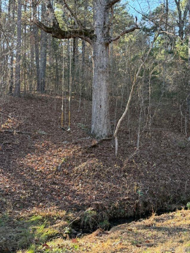 Photo 9 - Residential for sale – 552  Little Creek Lane   Pineville, AR