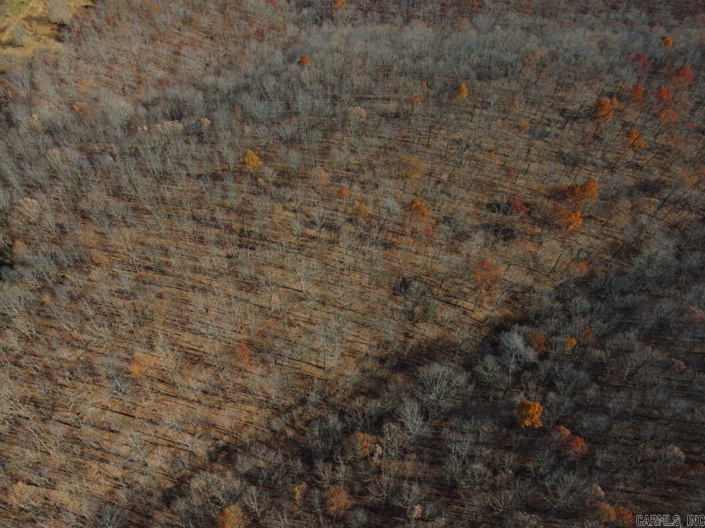 Photo 10 - Vacant Land for sale – 284  Stark Springs   Batesville, AR