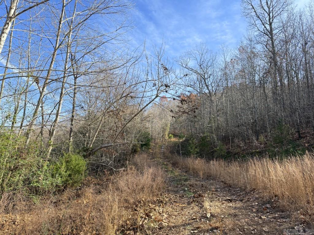 Photo 12 - Vacant Land for sale – 284  Stark Springs   Batesville, AR