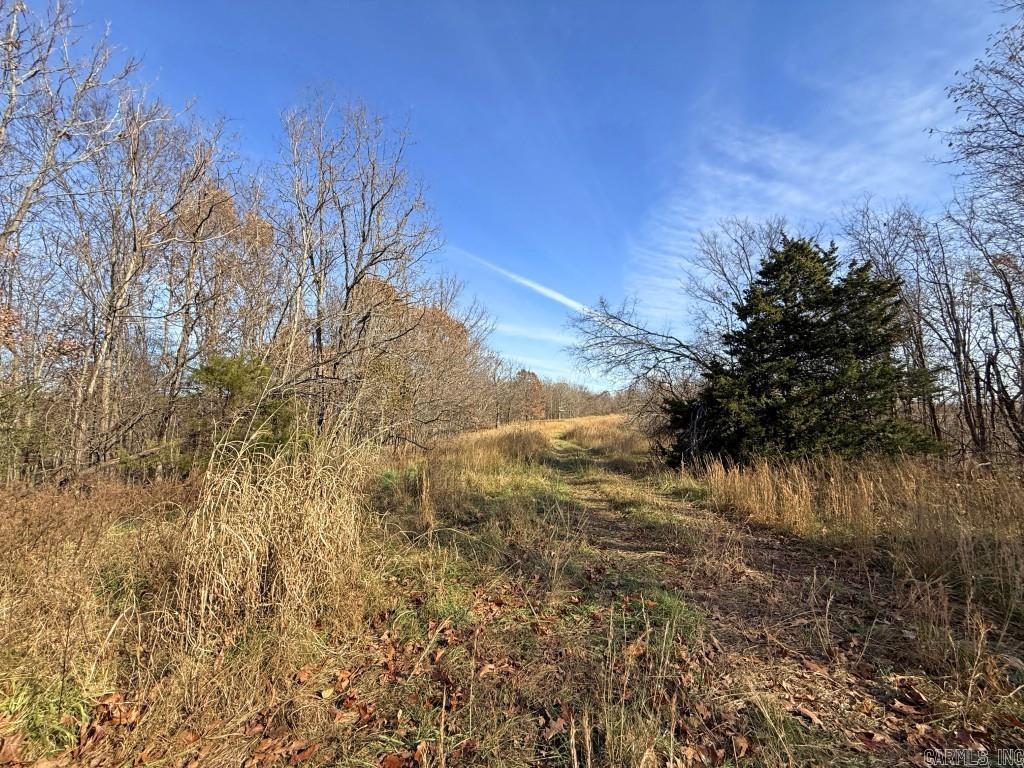 Photo 13 - Vacant Land for sale – 284  Stark Springs   Batesville, AR