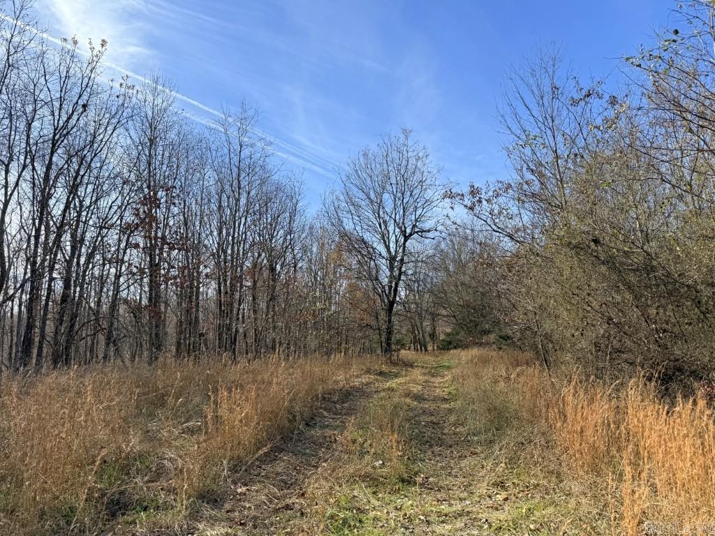 Photo 14 - Vacant Land for sale – 284  Stark Springs   Batesville, AR