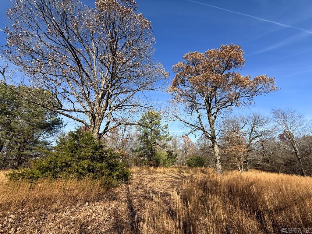 Photo 16 - Vacant Land for sale – 284  Stark Springs   Batesville, AR