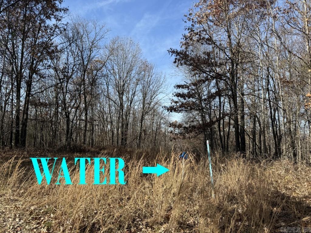 Photo 17 - Vacant Land for sale – 284  Stark Springs   Batesville, AR
