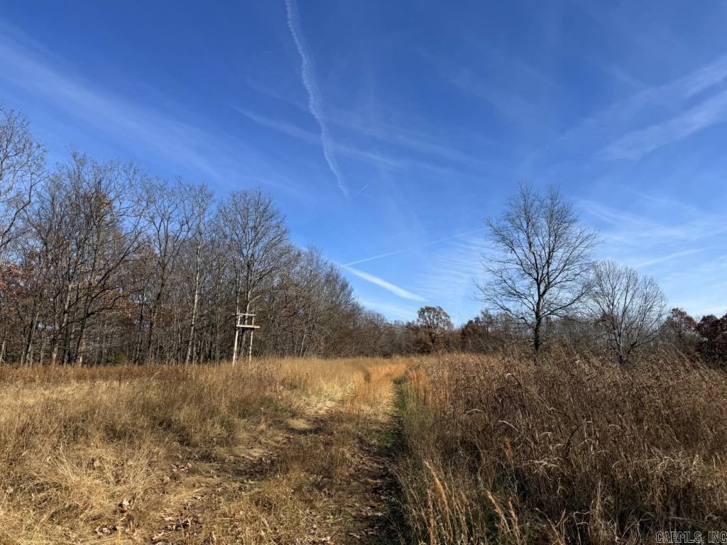 Photo 18 - Vacant Land for sale – 284  Stark Springs   Batesville, AR