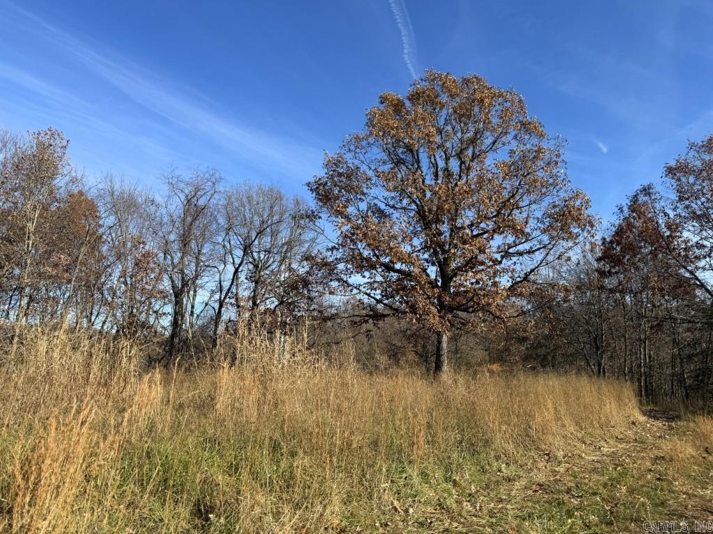 Photo 19 - Vacant Land for sale – 284  Stark Springs   Batesville, AR