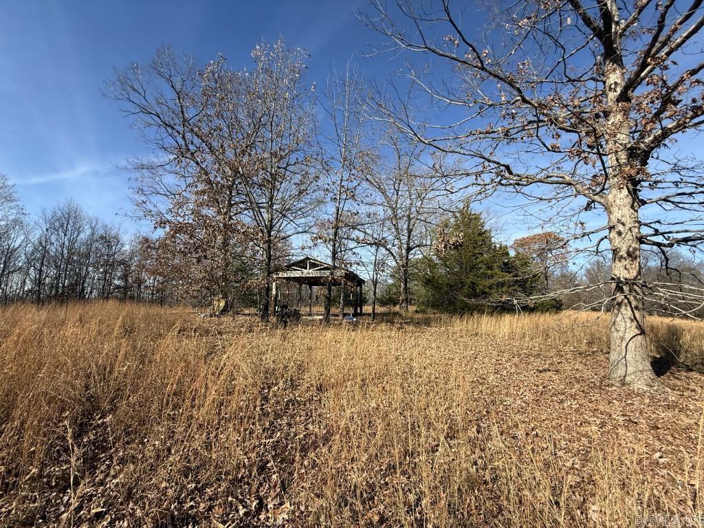 Photo 2 - Vacant Land for sale – 284  Stark Springs   Batesville, AR