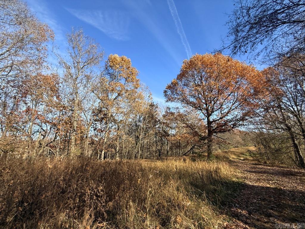 Photo 20 - Vacant Land for sale – 284  Stark Springs   Batesville, AR