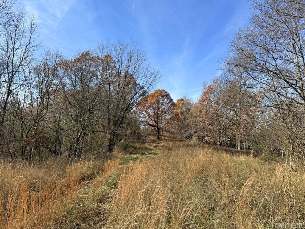 Photo 21 - Vacant Land for sale – 284  Stark Springs   Batesville, AR