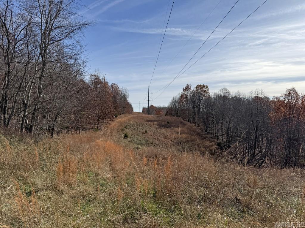 Photo 28 - Vacant Land for sale – 284  Stark Springs   Batesville, AR