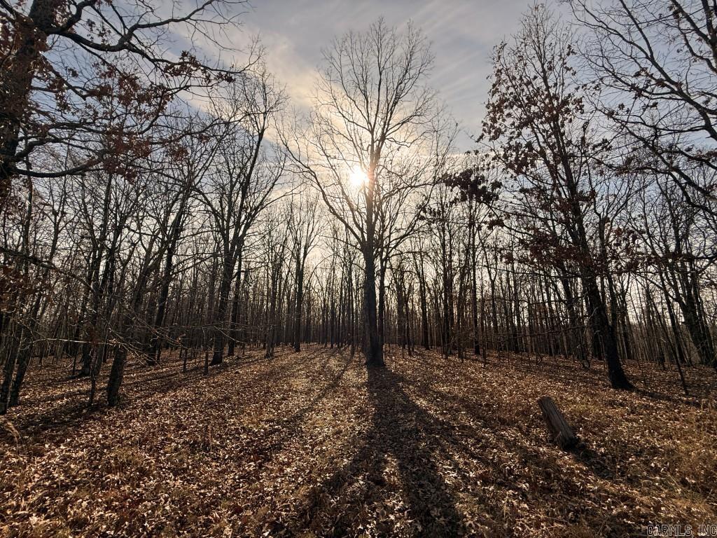 Photo 3 - Vacant Land for sale – 284  Stark Springs   Batesville, AR