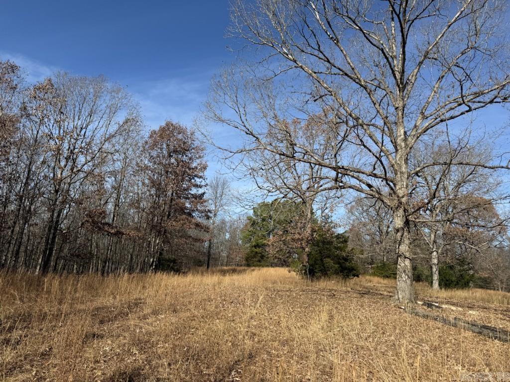 Photo 4 - Vacant Land for sale – 284  Stark Springs   Batesville, AR