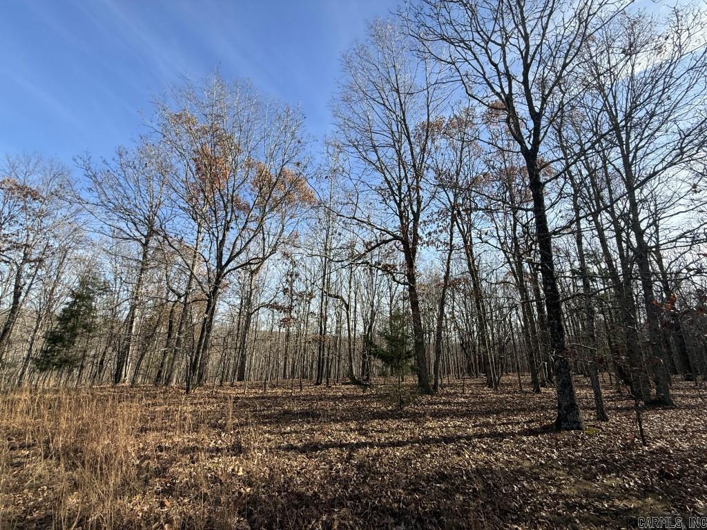 Photo 5 - Vacant Land for sale – 284  Stark Springs   Batesville, AR