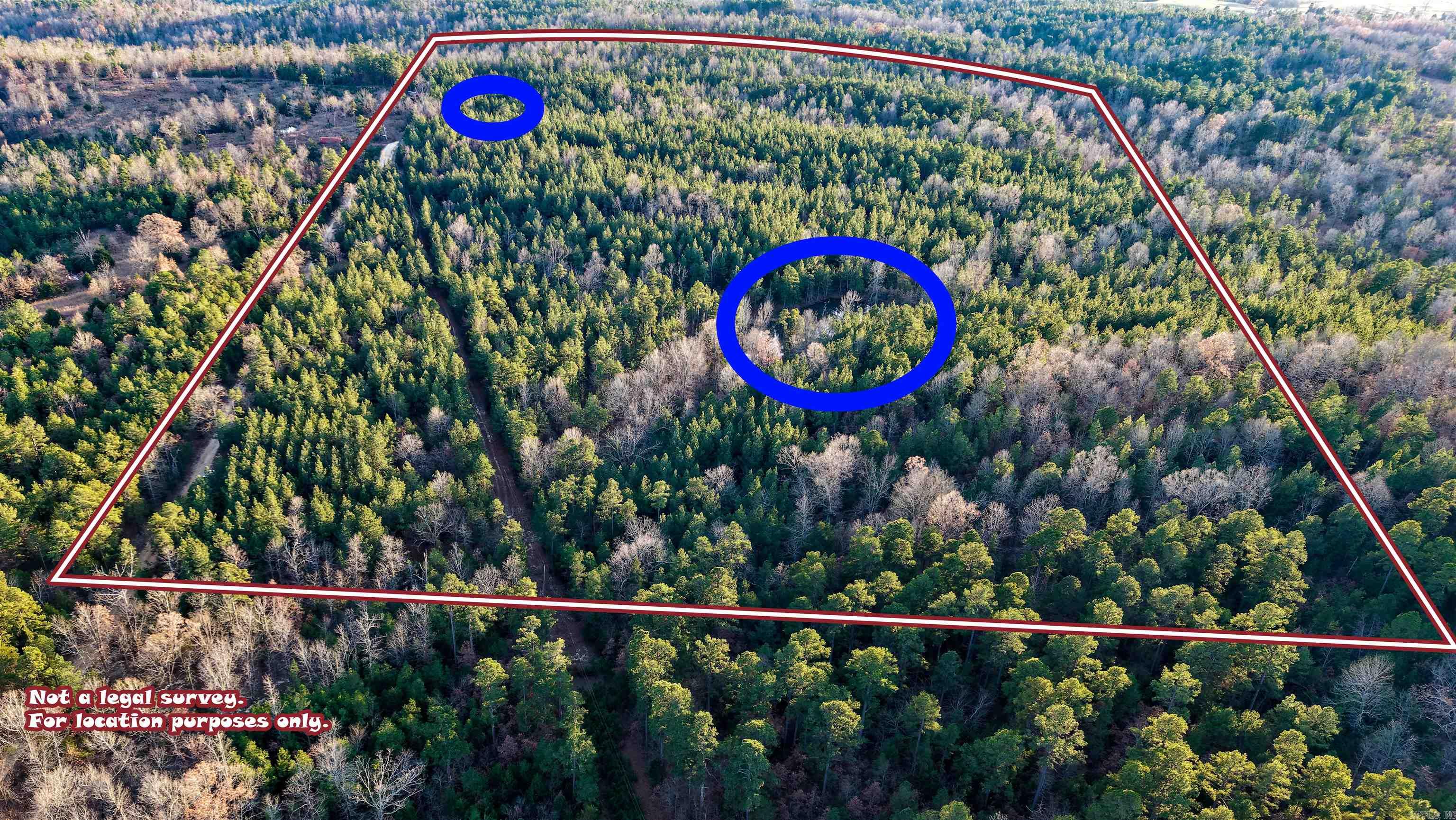 Photo 2 - Vacant Land for sale – 000  Highway 223 South   Bexar, AR