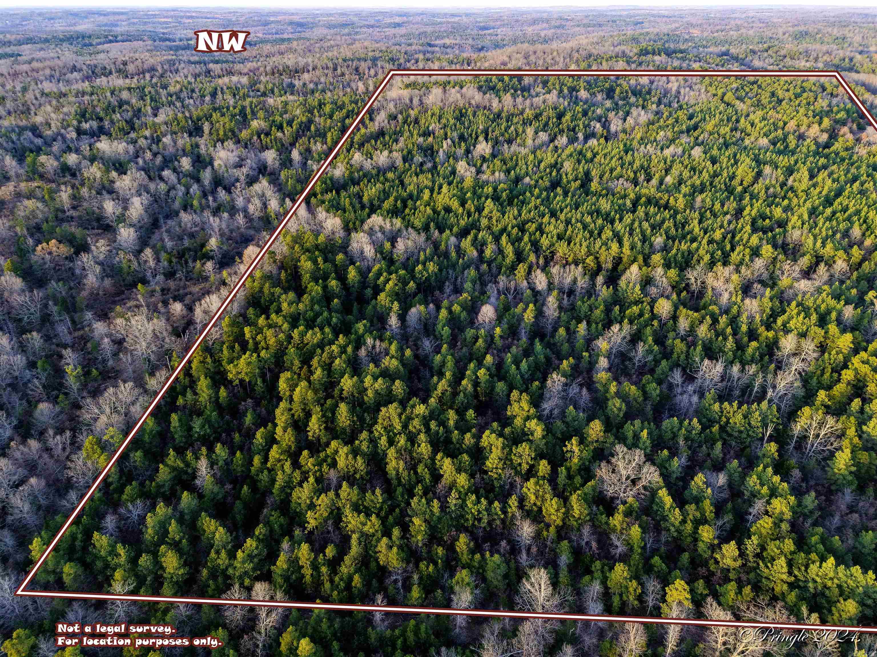 Photo 11 - Vacant Land for sale – 000  Highway 223 South   Bexar, AR