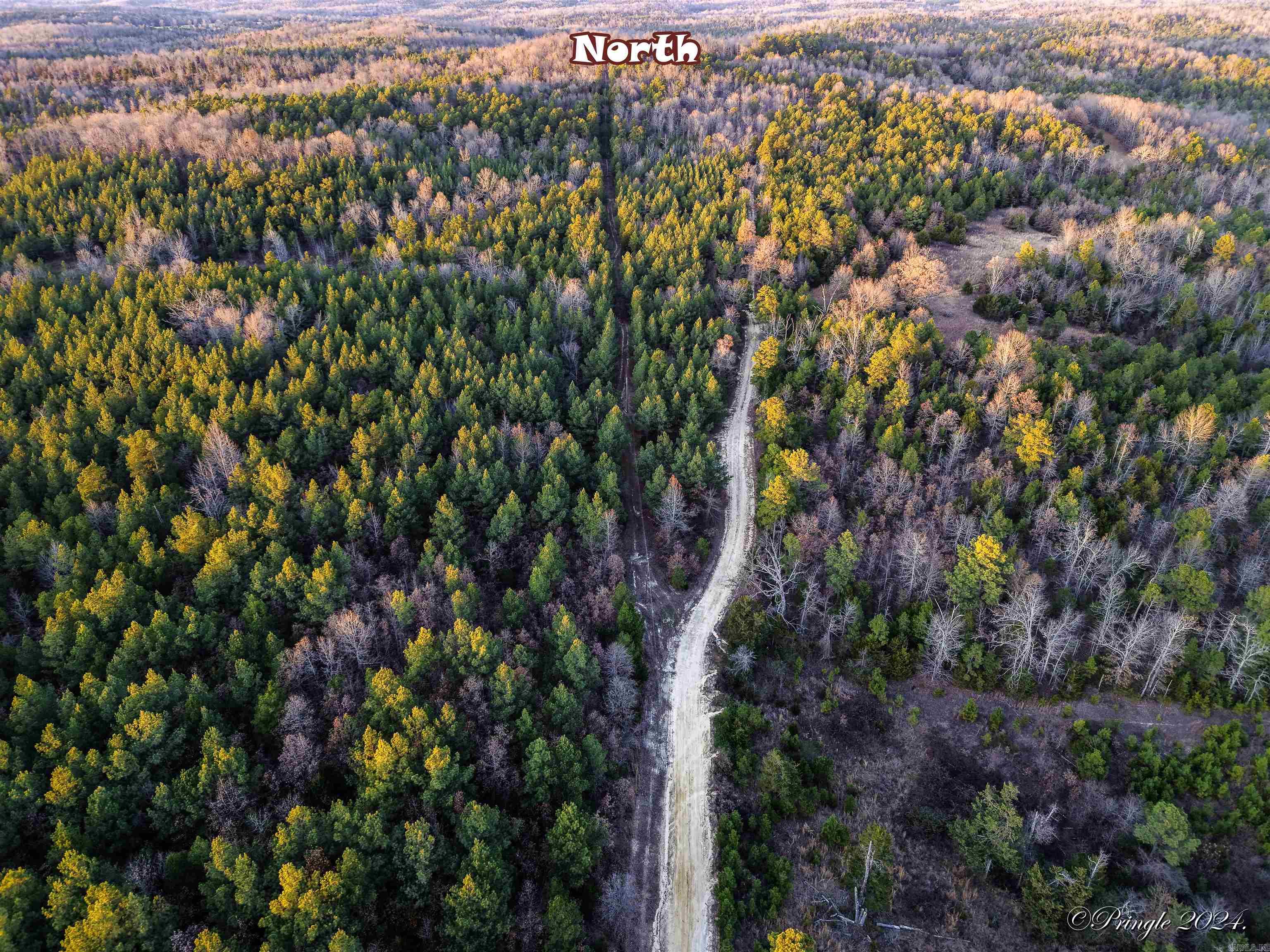 Photo 13 - Vacant Land for sale – 000  Highway 223 South   Bexar, AR