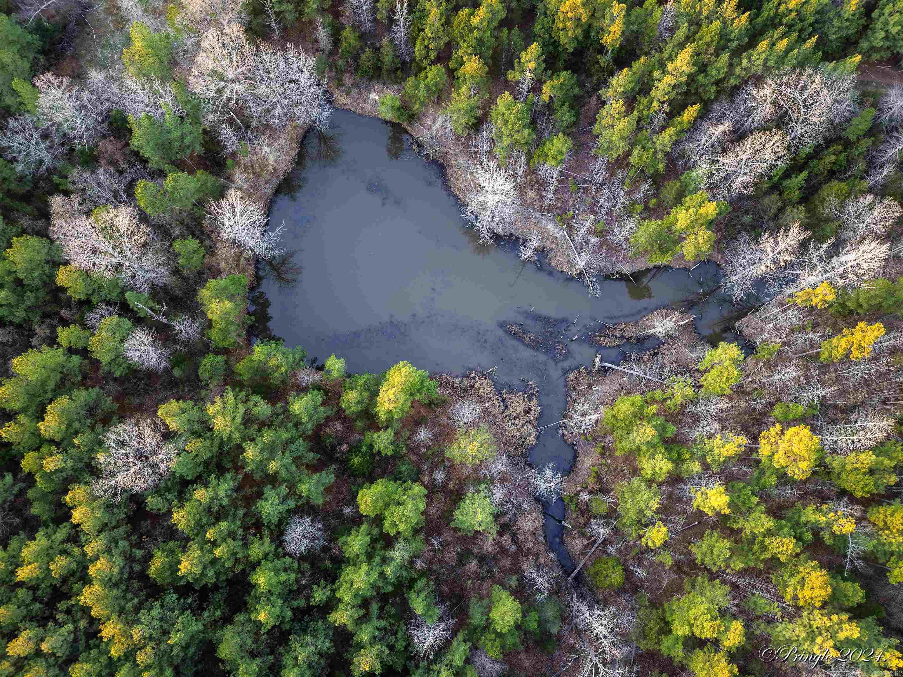 Photo 14 - Vacant Land for sale – 000  Highway 223 South   Bexar, AR