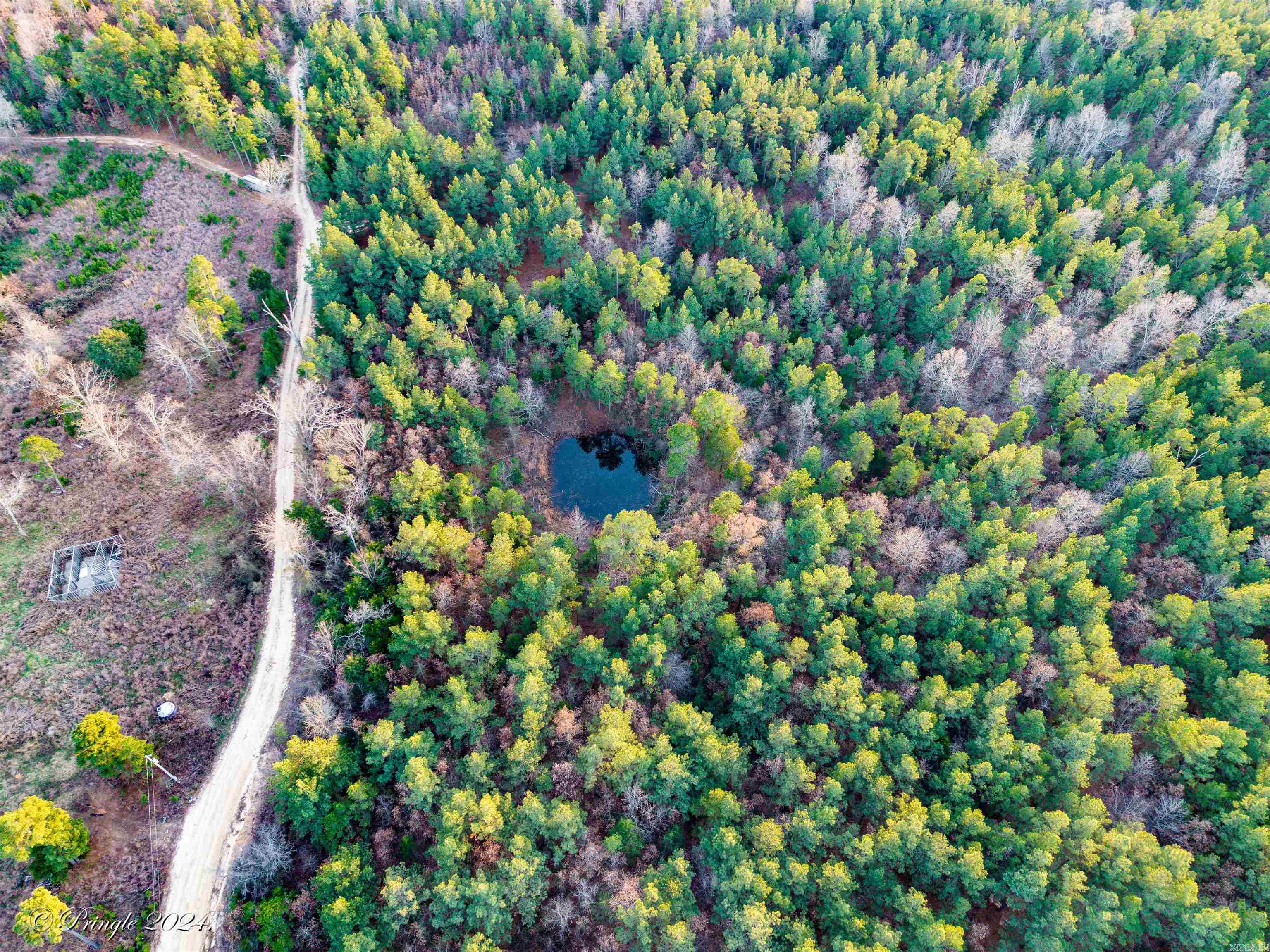 Photo 15 - Vacant Land for sale – 000  Highway 223 South   Bexar, AR