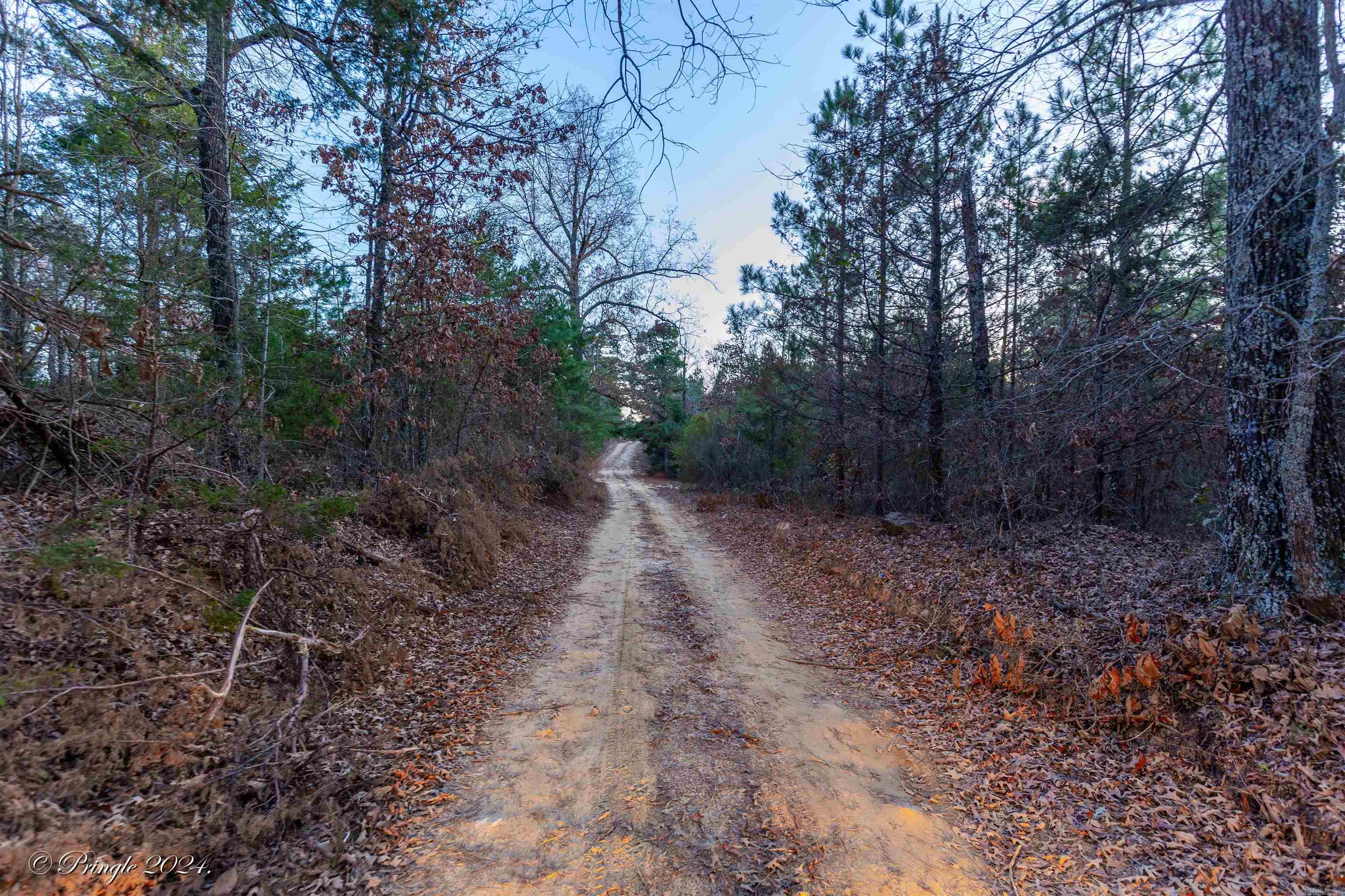 Photo 16 - Vacant Land for sale – 000  Highway 223 South   Bexar, AR