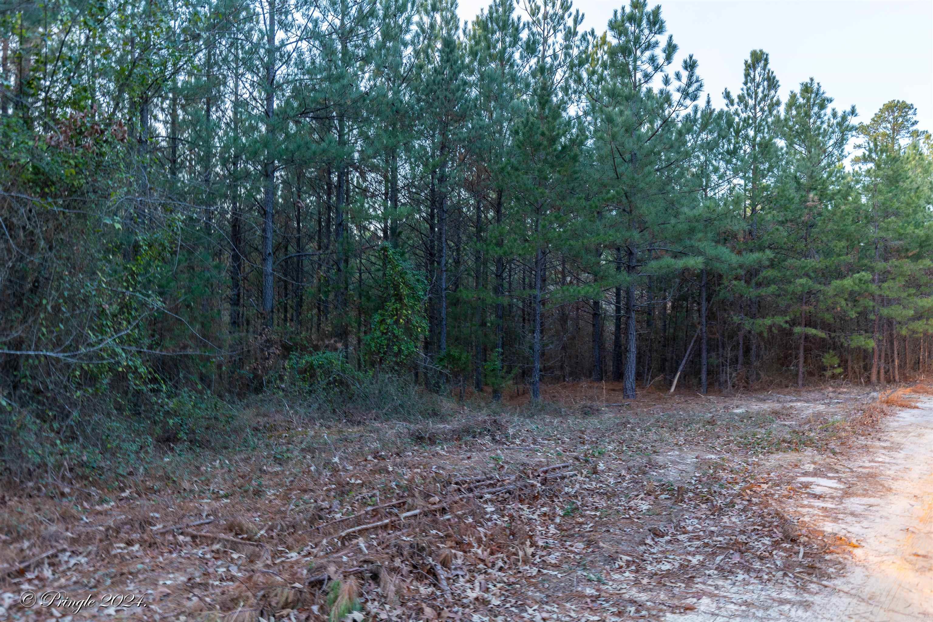 Photo 17 - Vacant Land for sale – 000  Highway 223 South   Bexar, AR